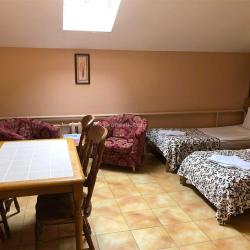 Фото Отель Родина