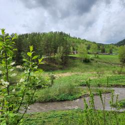 Фото Отель Вдохни Алтай