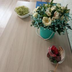 1-комнатные апартаменты студия