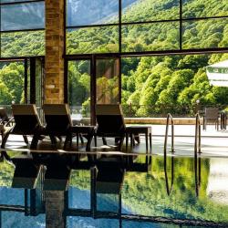 Фото Отель Forrest Terrace Hotel (Форрест Терасса)