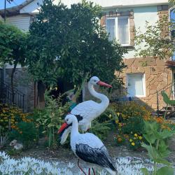 Фото Отель Гостевой дом Эдем