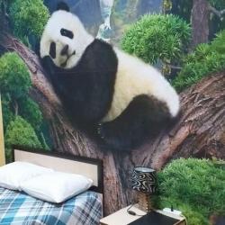 Фото Отель Авиатор