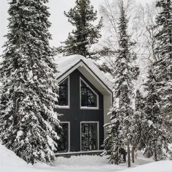 Фото Отель Шале Needles (Нидлес)