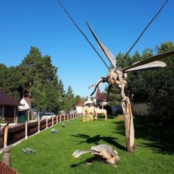Фото Отель Лукоморье
