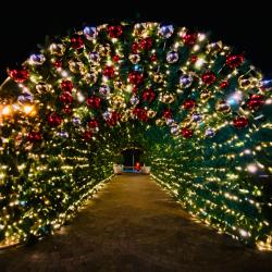 Фото Отель Green Park (Грин Парк)