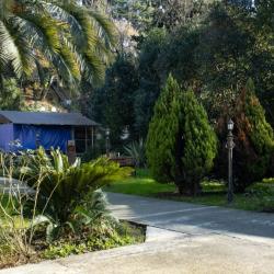 Фото Отель Акация