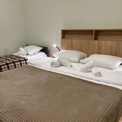 Номер комфорт улучшенный с 1 односпальной и 1 двуспальной кроватью