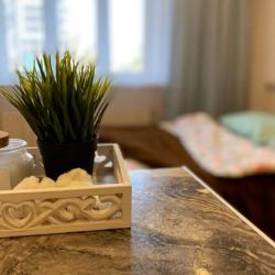 Апартаменты студия 8