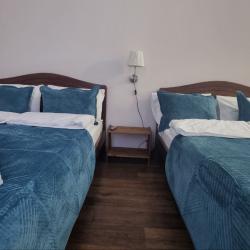 Фото Отель Шишкино-парк аэропорт Домодедово