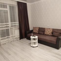 Апартаменты стандарт Партизанская улица, 203