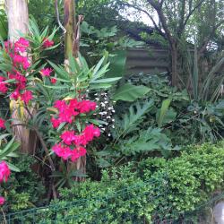 Фото Отель Гости