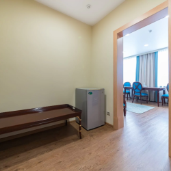 Номер люкс с 1 двуспальной кроватью 3 (315)