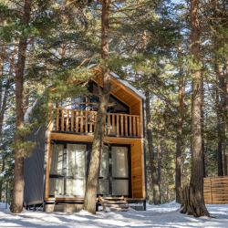 Коттедж премиум