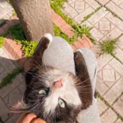 Фото Отель Cats&Beds Hostel (Кэтс&Бэдс)