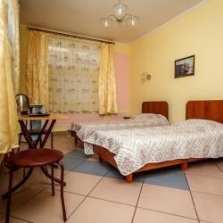 Номер стандарт с 1 двуспальной кроватью (цокольный этаж)