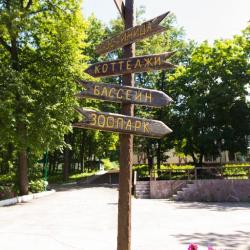 Фото Парк-отель Дубрава