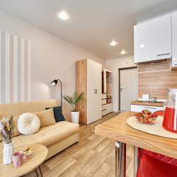 Фото Апартаменты на Родионова 202/1