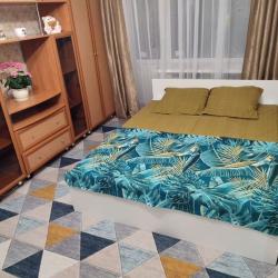 Фото Апартаменты на улице Воровского 3