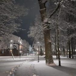 Фото Парк-Отель MillWood (МиллВуд)