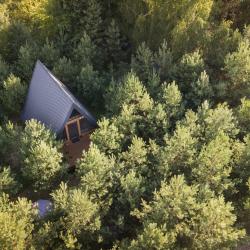 Фото Отель Кусочек рая в соснах