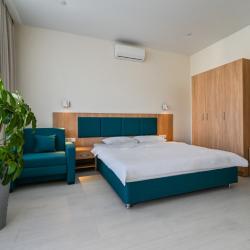 Номер стандарт с 1 двуспальной кроватью и террасой