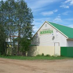 Фото Отель Живица