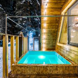 Коттедж премиум