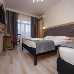 3-местный номер комфорт (вид на парк)