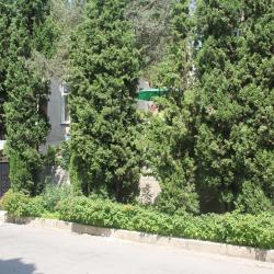 Фото Отель Тур