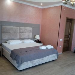 Номер полулюкс с 1 двуспальной кроватью