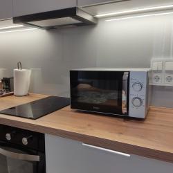 Фото Апартаменты на проспекте Новонский 4а