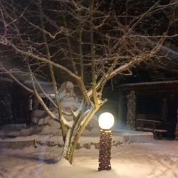 Фото Отель Плетёнка