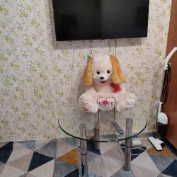 Фото Апартаменты на улице Воровского 3