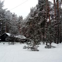 Фото Отель Лукоморье