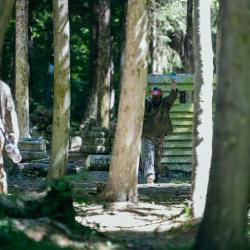 Фото Отель Солярис