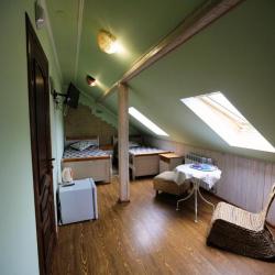 Фото Отель Золотой Гусь