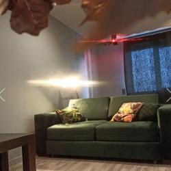 Фото Апартаменты на проспекте Дзержинского 14/2