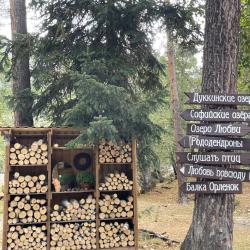 Фото Отель Шишка