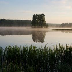 Фото Отель Янтарная