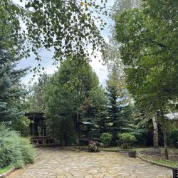 Фото Отель Woodland (Вудлэнд)
