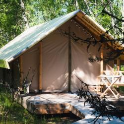 Фото Отель Ecolodge Zen (Эколодж Зен)