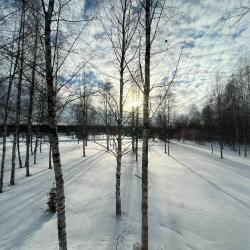 Коттедж улучшенный