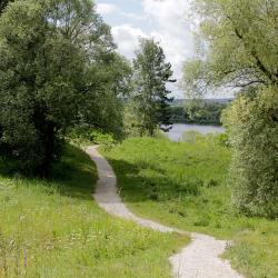 Фото Дачный отель Лесные Поляны