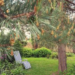 Фото Отель Лавандовый сад