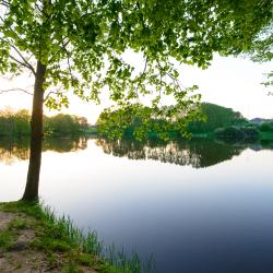 Фото Парк-отель Филипп