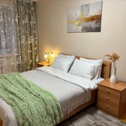 Фото Апартаменты на улице Пушкинская 245а