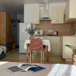 Фото Апартаменты на улице Сергиевская 13 корпус 4