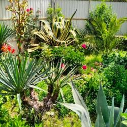 Фото Отель Гранатовый дворик (домики)