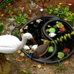 Фото Отель Жемчужина Сухоны