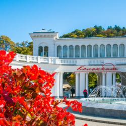 Фото Апартаменты на улице Березовская 10